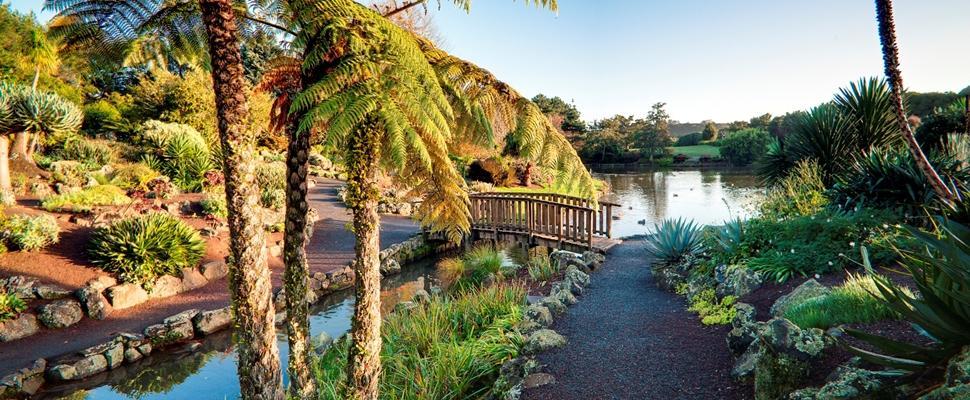 The Gardens Bed And Breakfast Auckland Dış mekan fotoğraf